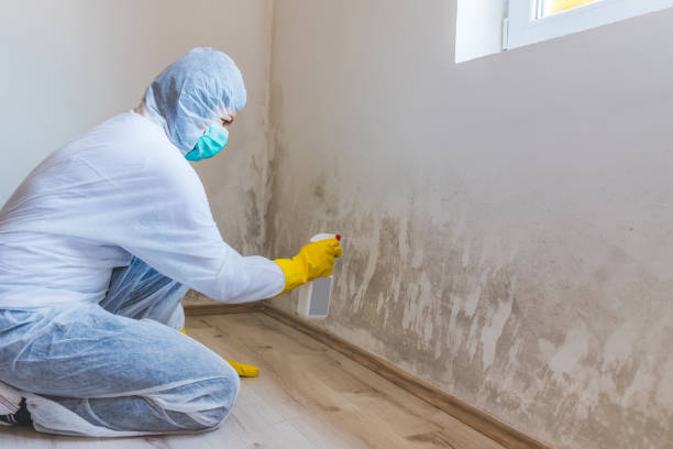 Mold Remediation specialist working in Saint Thomas